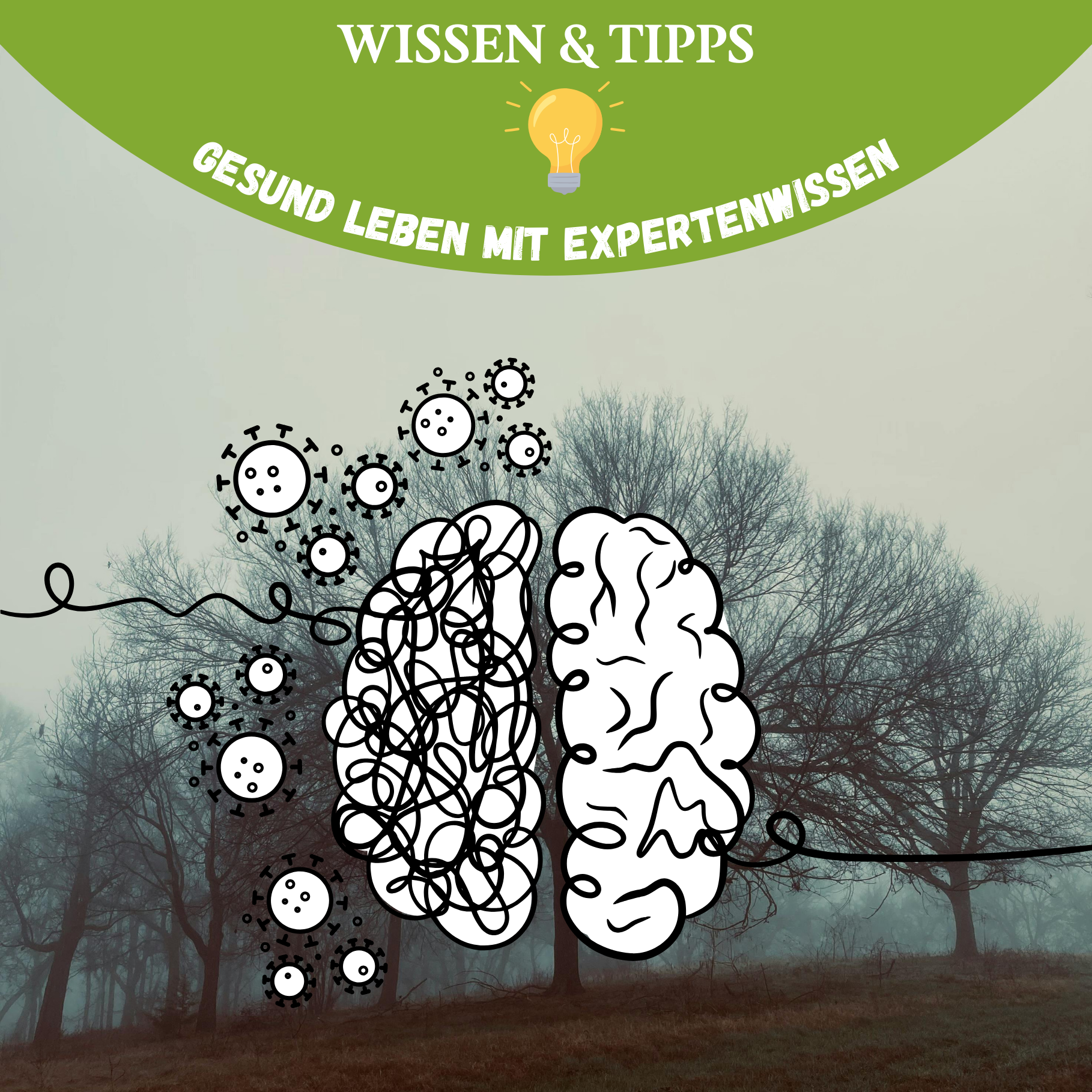 Brain Fog nach Infekt: Wenn das Gehirn nicht mehr mitzieht