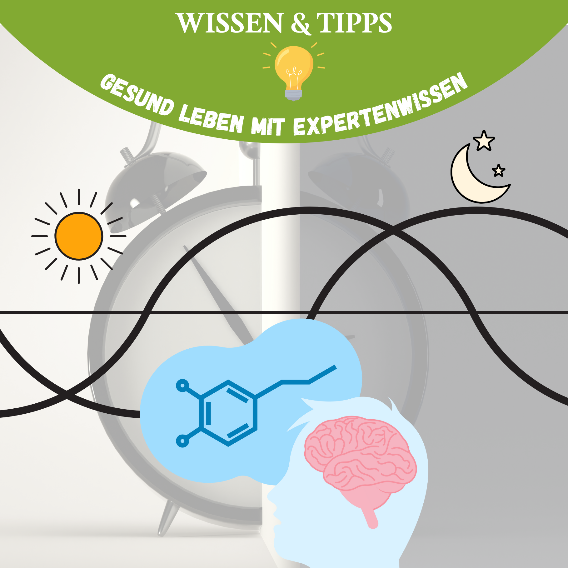 Circadianer Rhythmus & Energie: So arbeiten deine Zellen im 24-Stunden-Takt