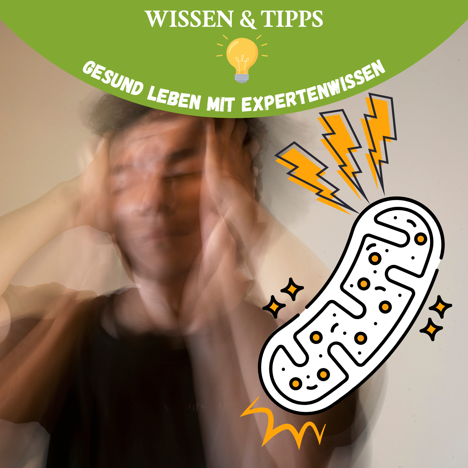 Cortisol, Mitochondrien & Zellenergie: So wirkt sich chronischer Stress auf deine Zellen aus