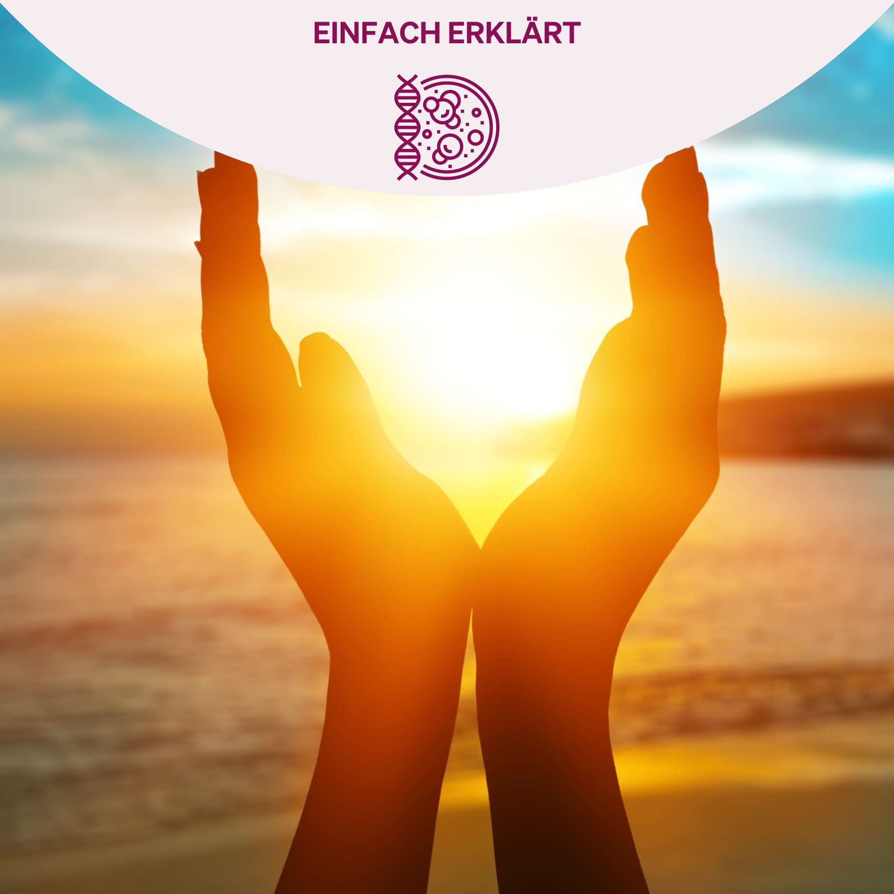 Zwei Hände, die in einer schützenden Geste die strahlende Sonne umrahmen, während sie über einem ruhigen Meer untergeht oder aufgeht. Das Bild symbolisiert die Verbindung zwischen Sonnenlicht und der Stärkung des Immunsystems