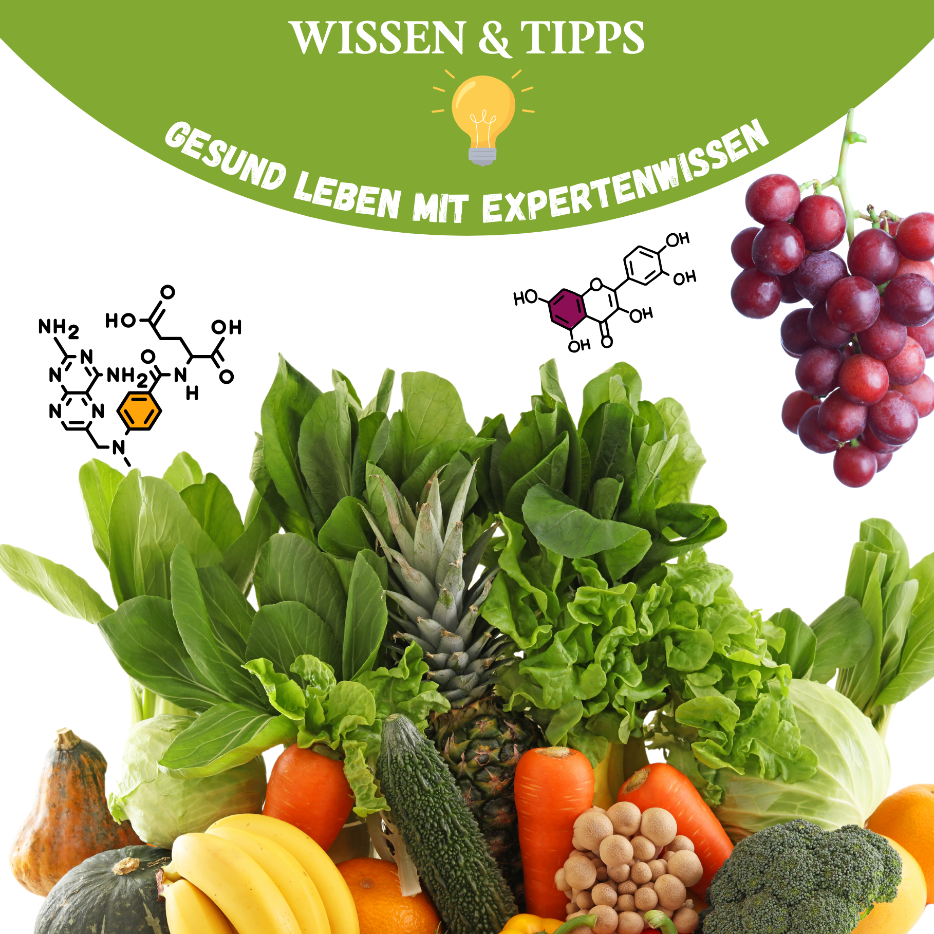 Die besten Lebensmittelquellen für sekundäre Pflanzenstoffe und ihre physiologischen Vorteile