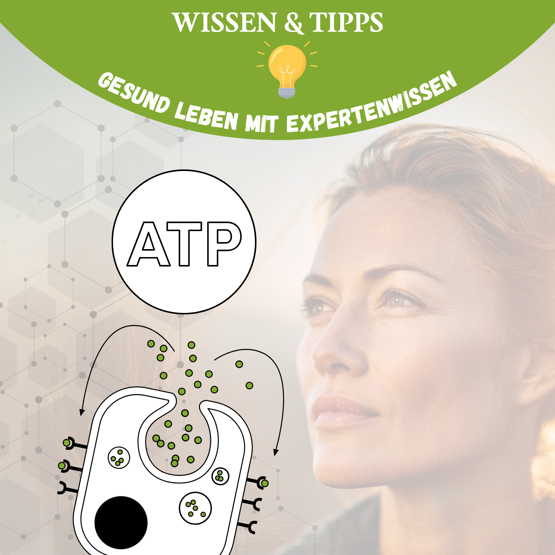 Energie ab 40: Die fünf Stoffwechselwege, die wirklich nachlassen