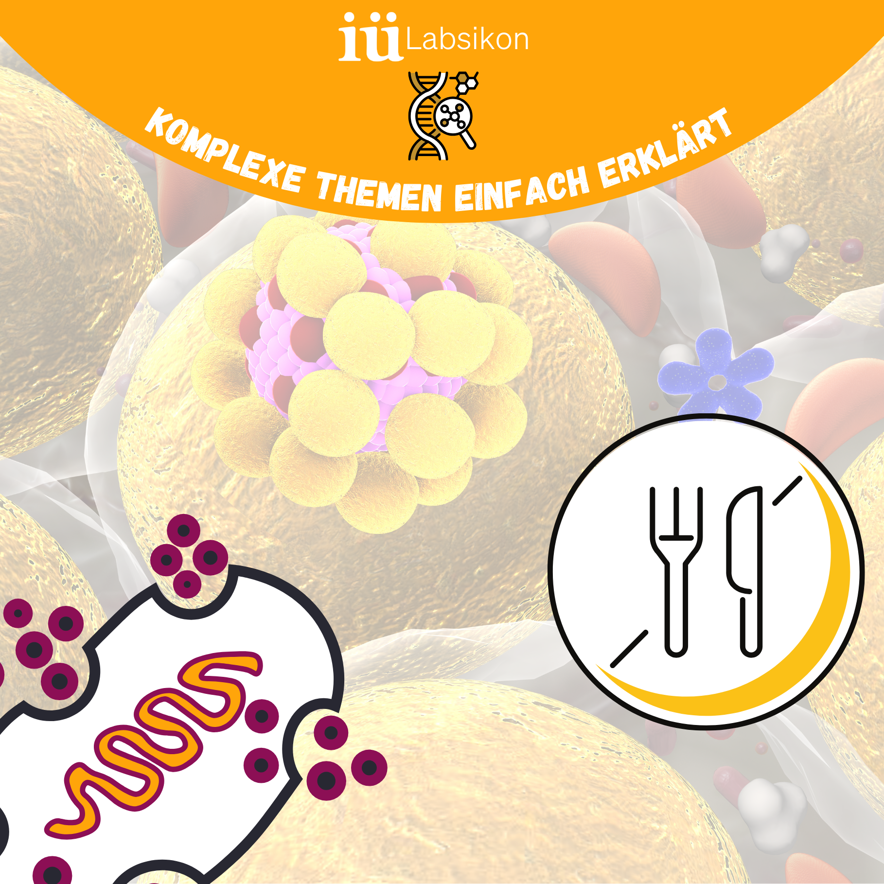 Fasten & Zellgesundheit: Was passiert wirklich im Körper – und wie du den Effekt mit Ernährung unterstützen kannst