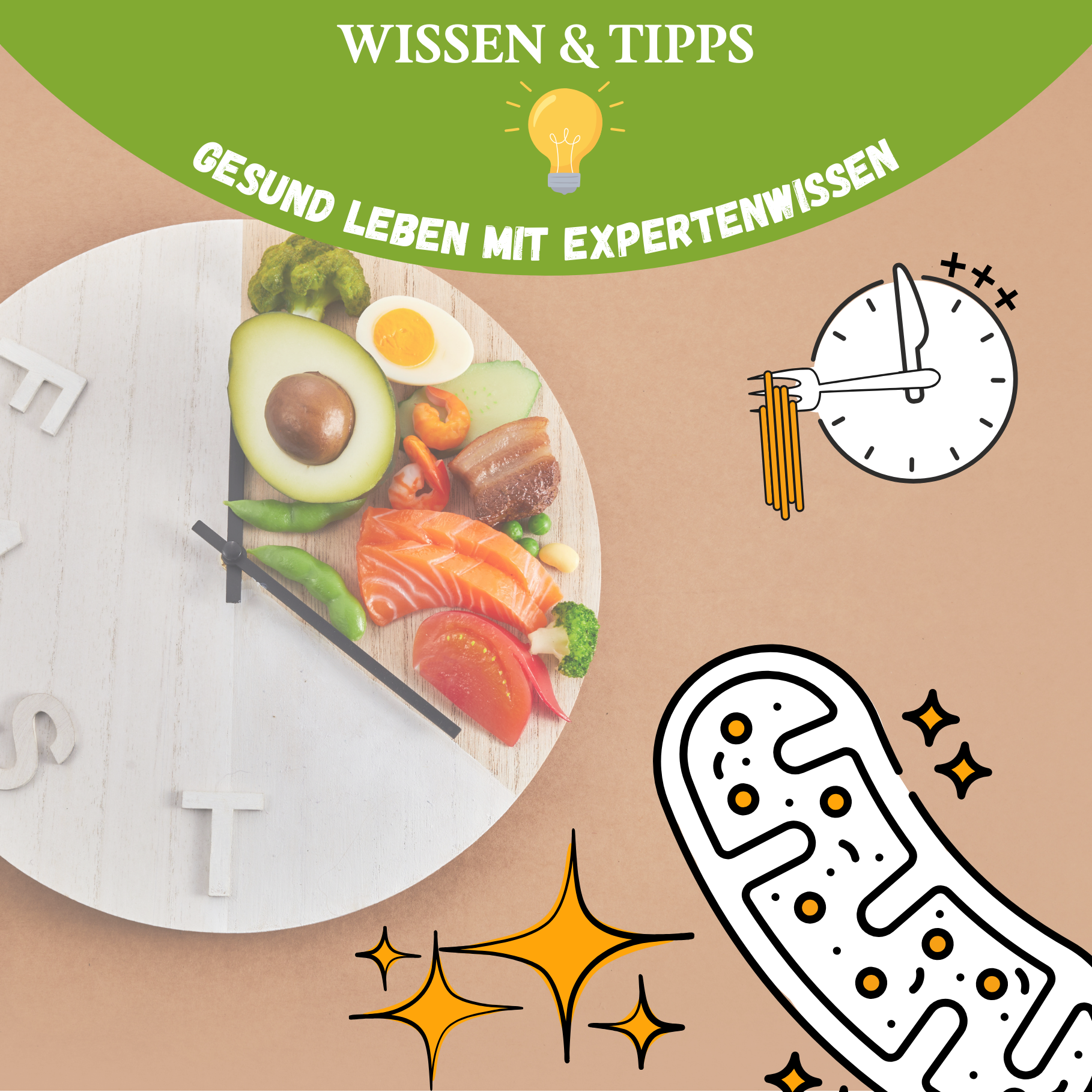 Intervallfasten & Zellenergie: Warum Pausen beim Essen deine Mitochondrien beflügeln