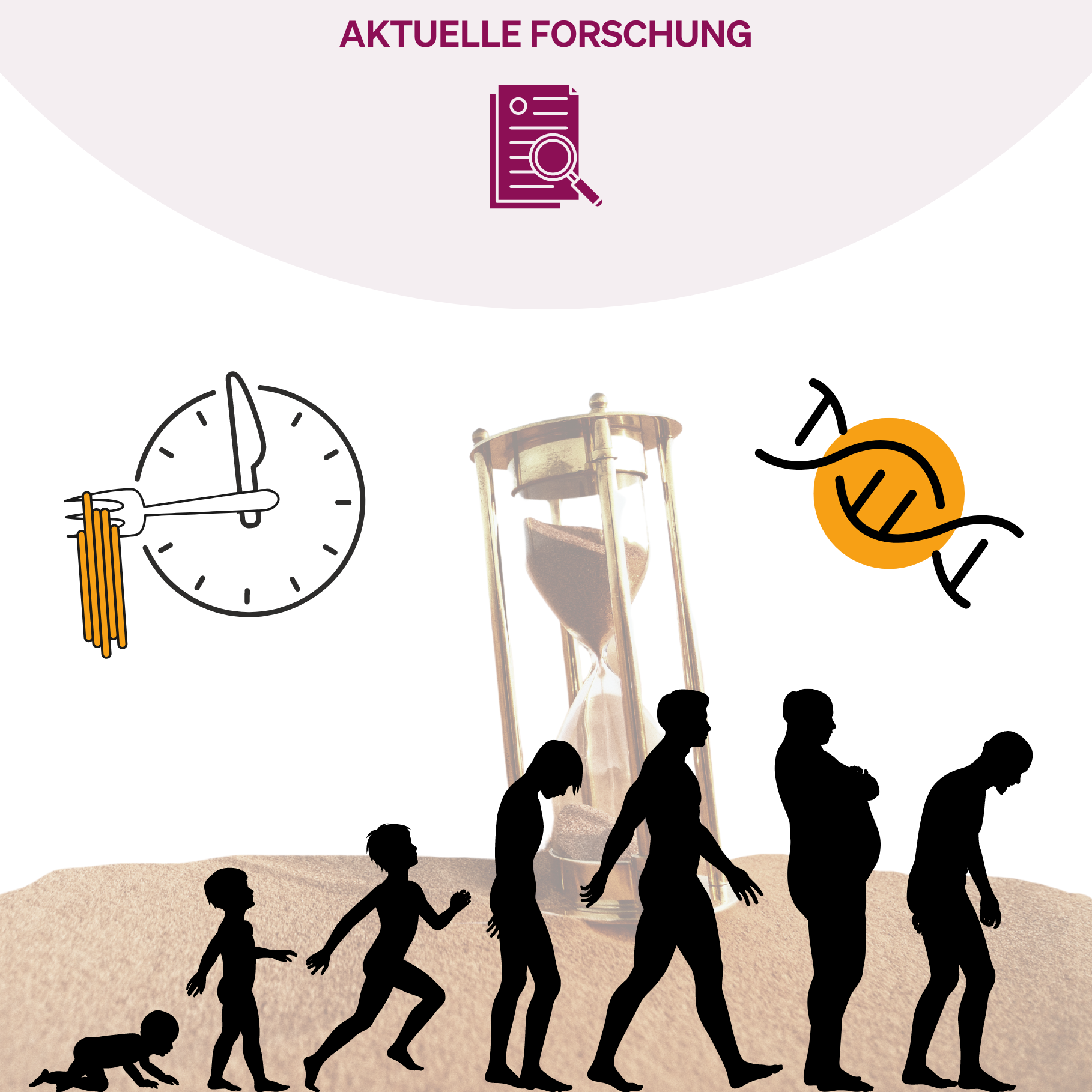 Kalorienrestriktion & Intermittierendes Fasten: Schlüssel zur Langlebigkeit?