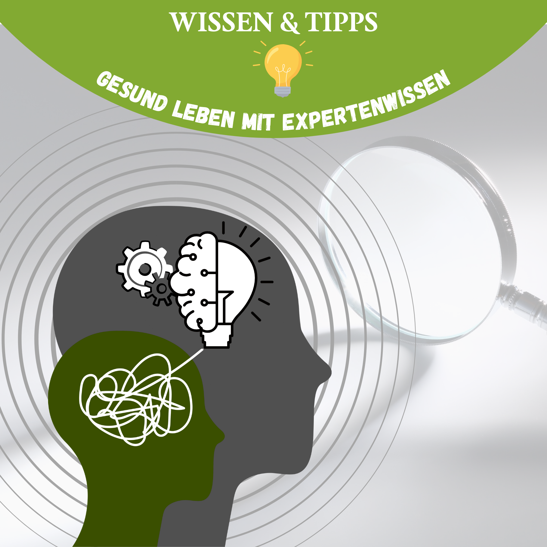 Mehr Fokus im Alltag: 5 zelluläre Mechanismen, die deine mentale Energie bestimmen