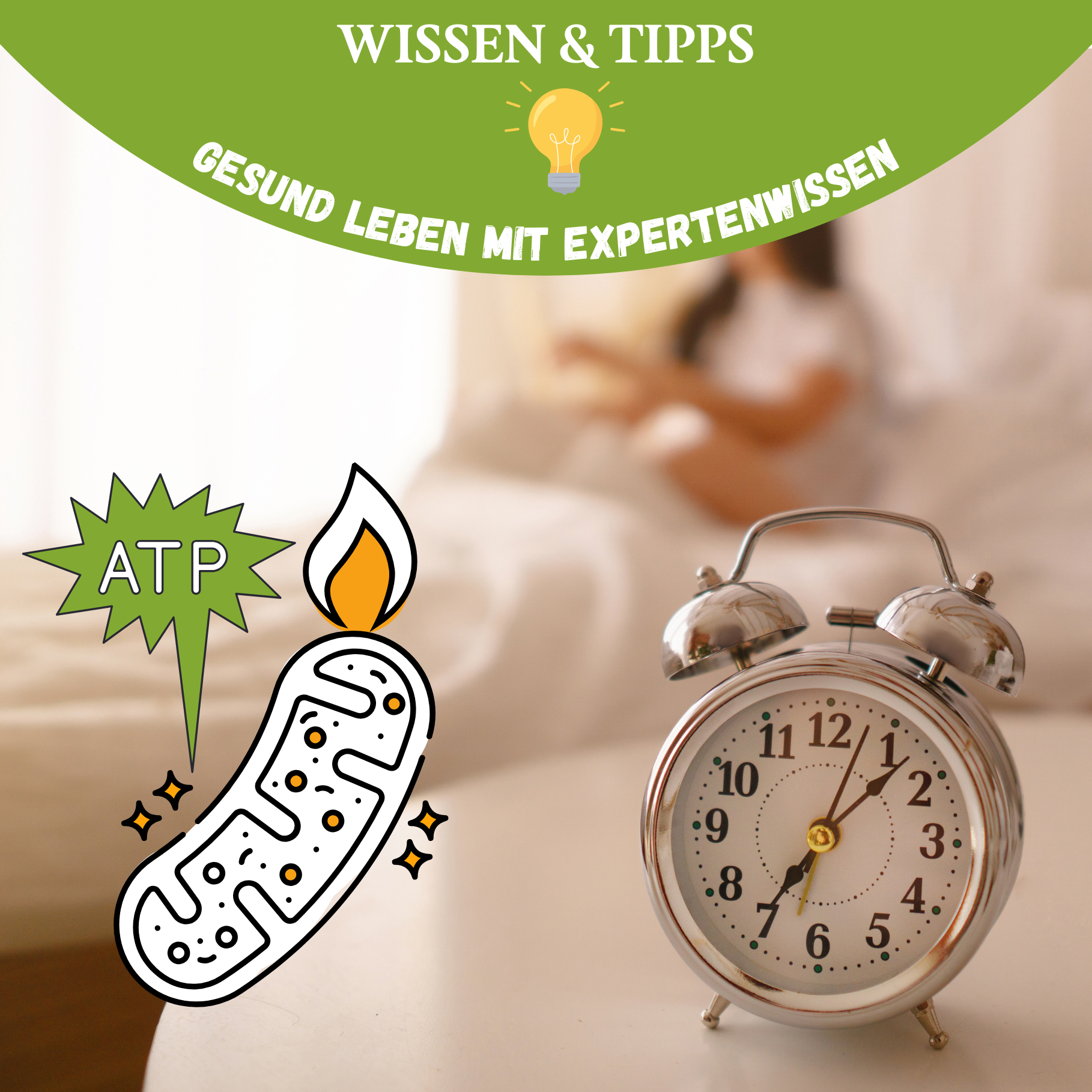 Morgenroutine für mehr Energie: Unsere wissenschaftlich fundierten Experten-Tipps