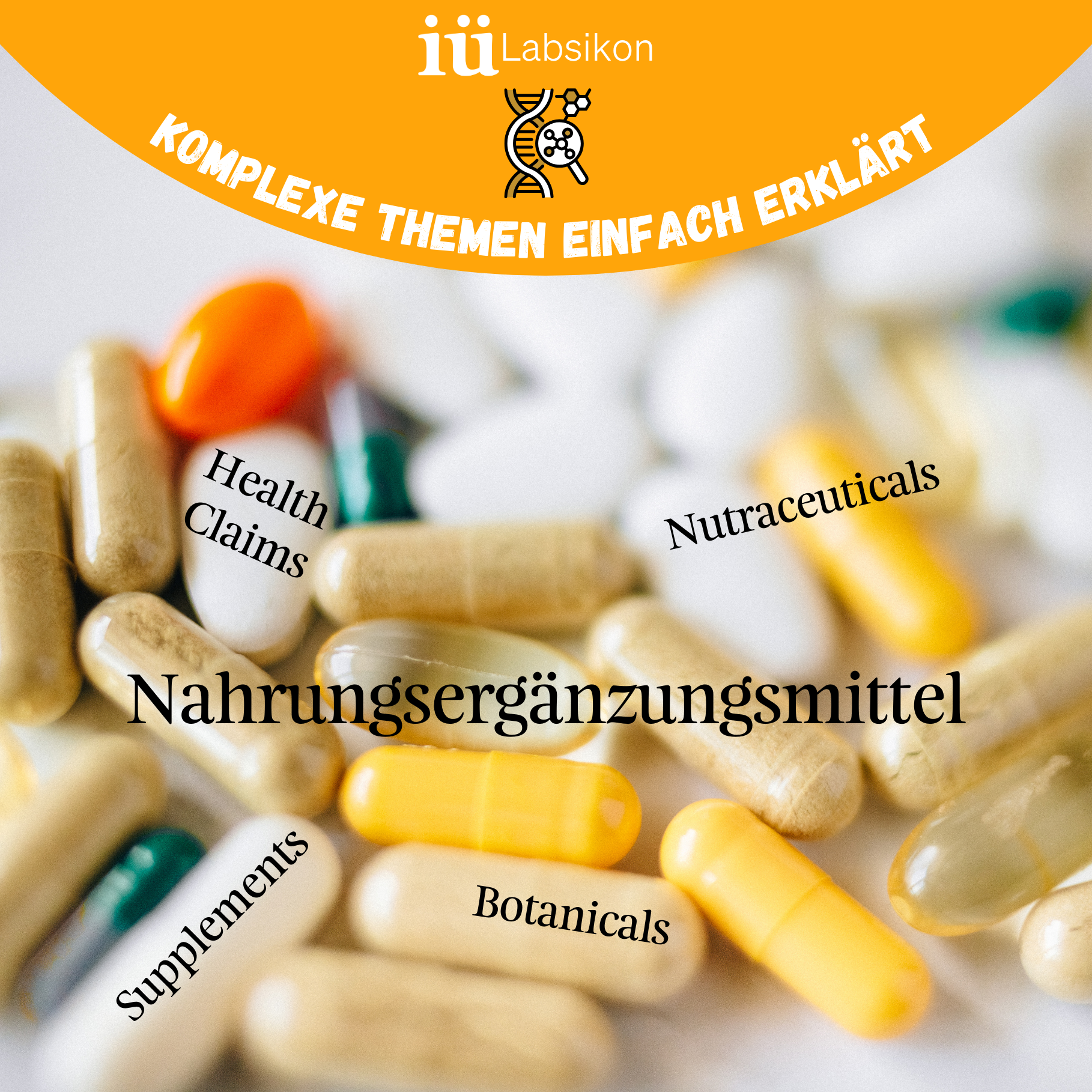 Supplements, Botanicals, Health Claims & Co. - Behalte den Überblick im Nahrungsergänzungs-Dschungel