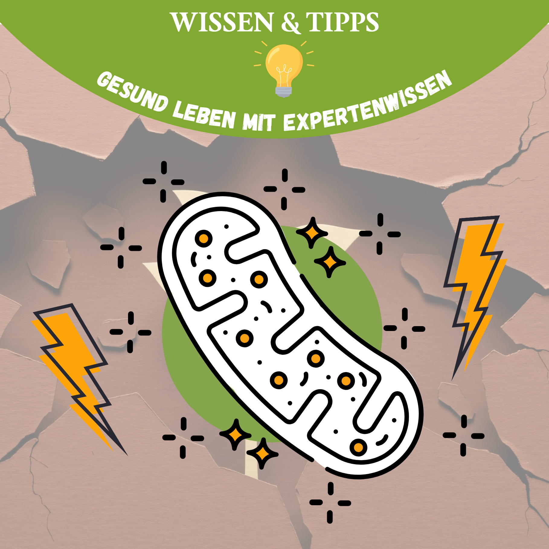 Resilienz der Zellen: Wie du deine mitochondriale Stressantwort stärkst