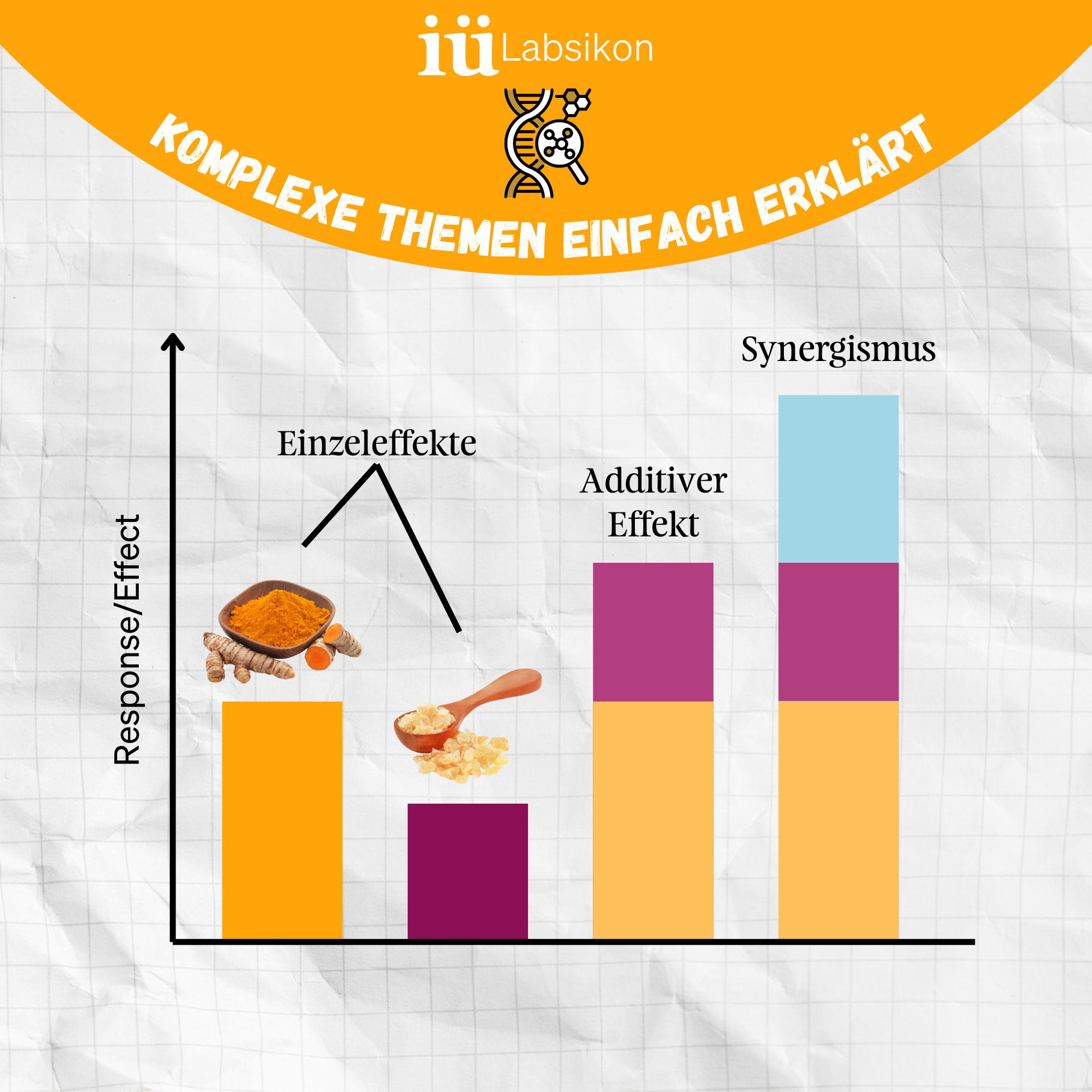 Synergismus - Maximale Effekte durch Kombination mehrerer Inhaltsstoffe