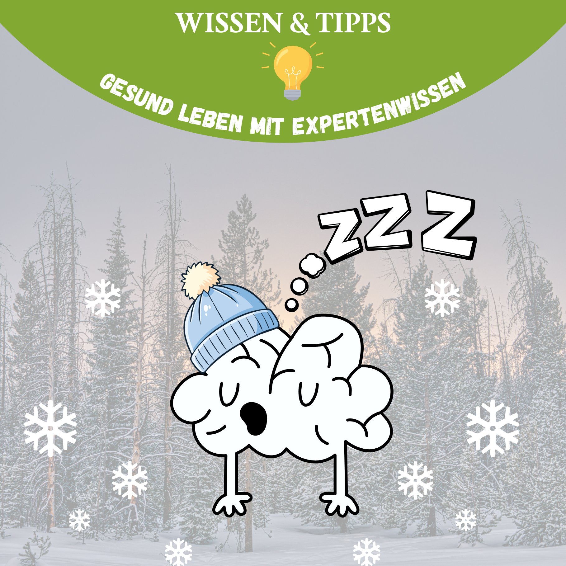 Warum der Winter müde macht – und was deine Zellen wirklich brauchen