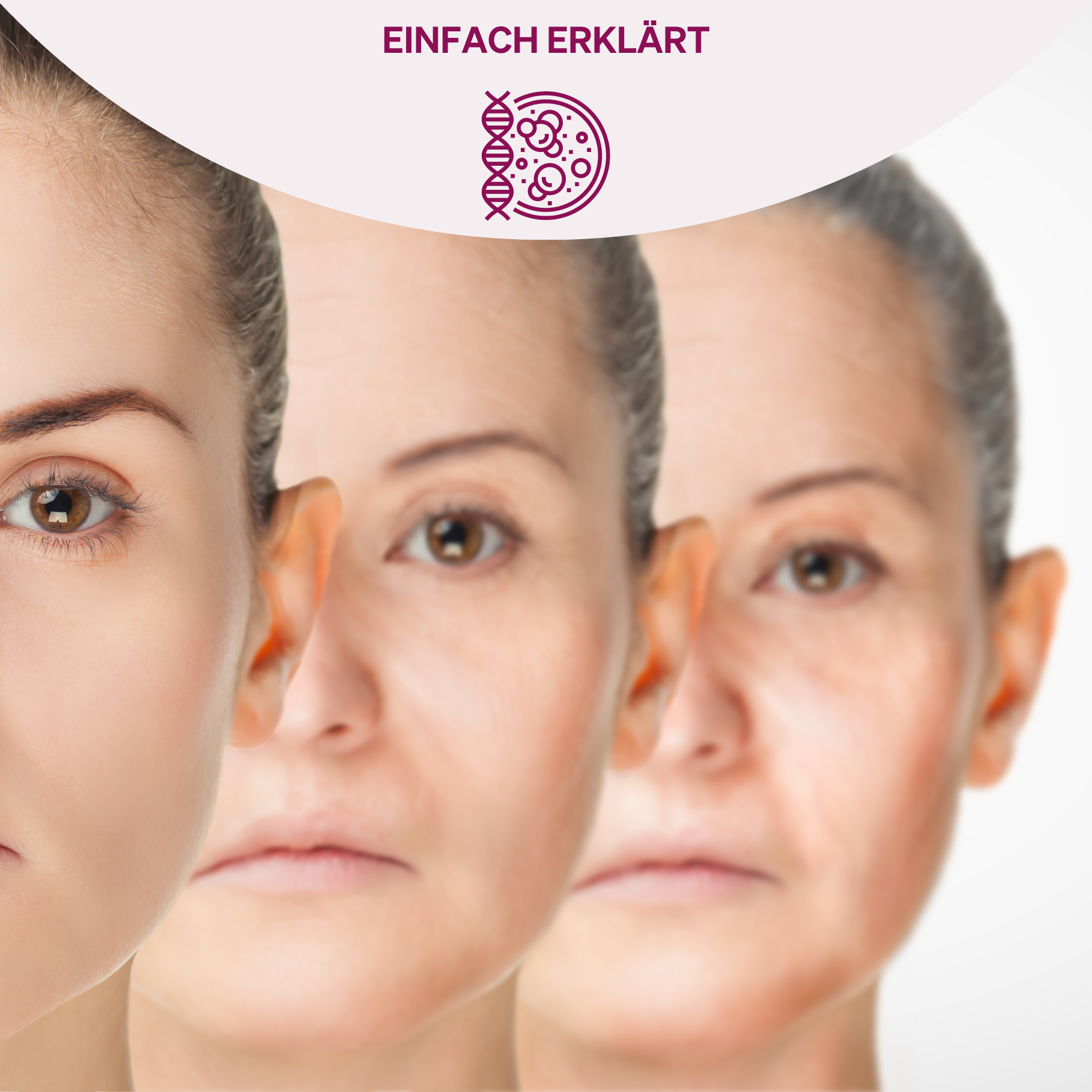 Eine Darstellung von drei Gesichtern einer Frau in verschiedenen Altersstadien, die von jung bis alt reicht. Das Bild symbolisiert den Alterungsprozess, der sich auf das Immunsystem auswirkt.