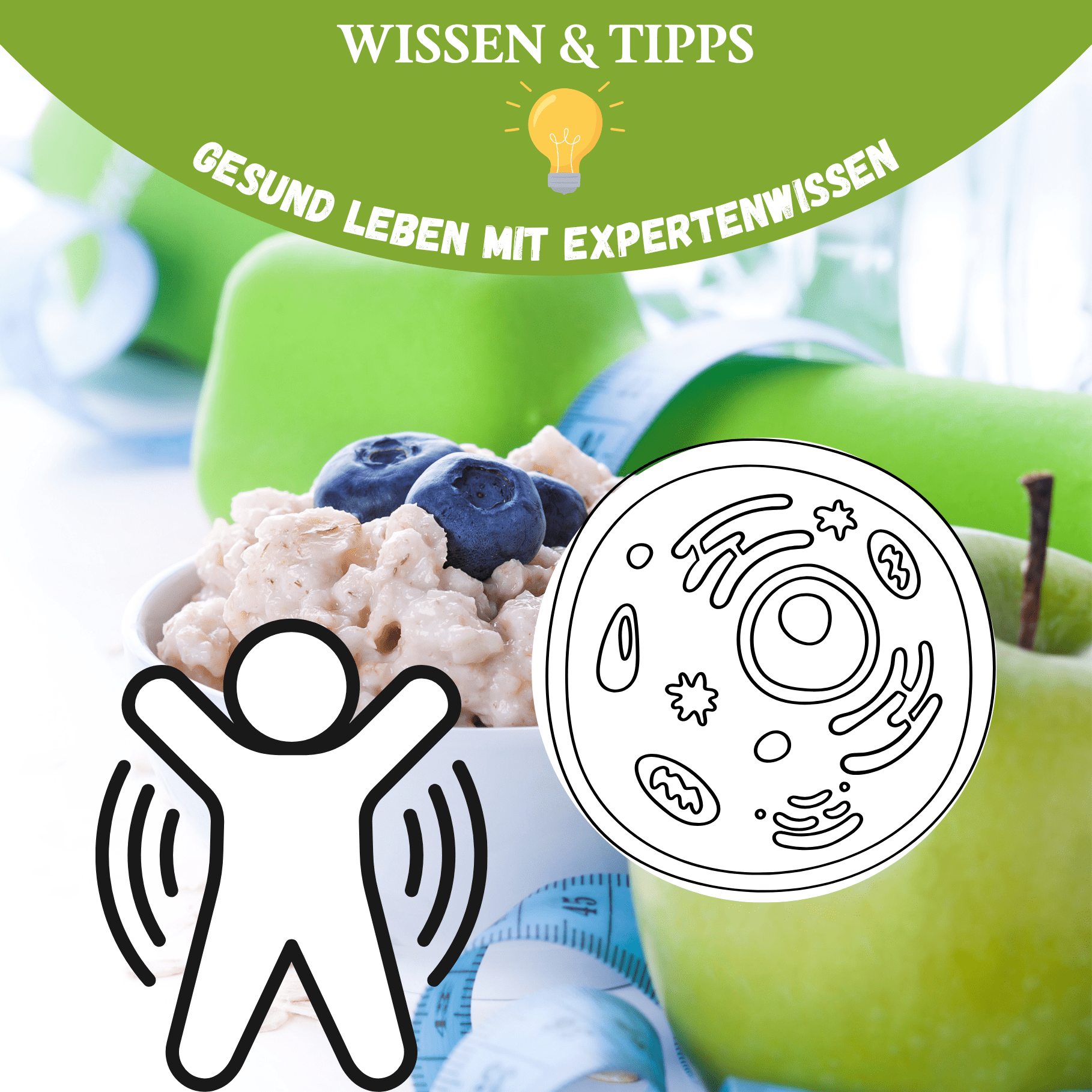 Blogpost-Banner für Gesund leben vs. biologische Realität – Hintergrund mit gesundem Frühstück, Hanteln und Maßband, Vordergrund mit Icons einer aktiven Person und einer biologischen Zelle als Symbol für die Lücke zwischen Gesundheitswissen und Biologie
