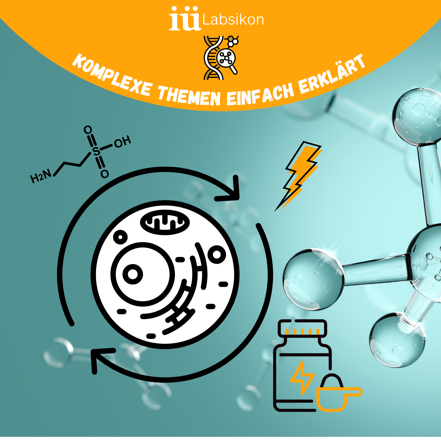 Kreatin & Taurin: Wie zwei unscheinbare Moleküle deine Zellenergie stärken