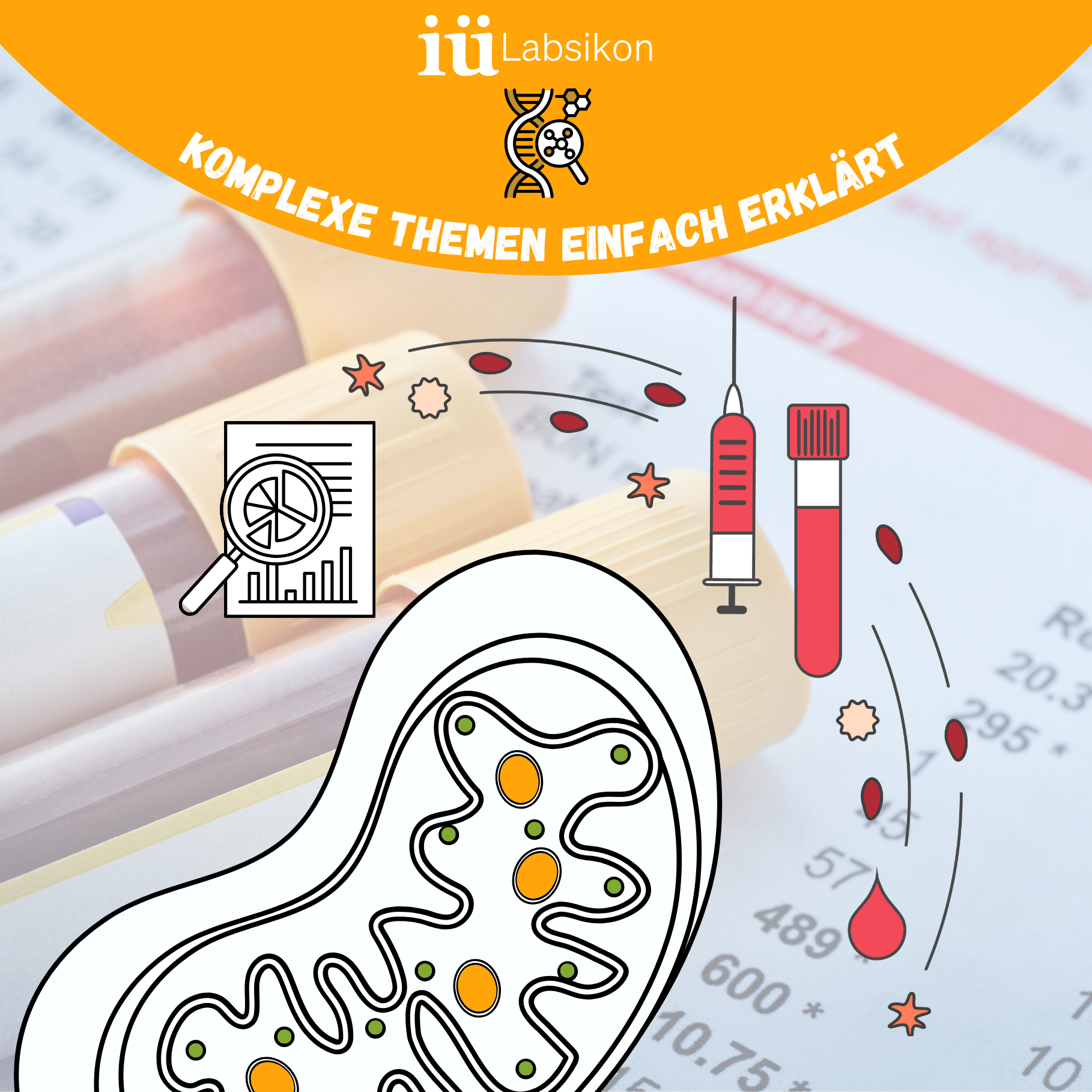 Illustration eines Mitochondriums mit Symbolen für Bluttests und Laborwerte – Thema mitochondriale Fitness messen.