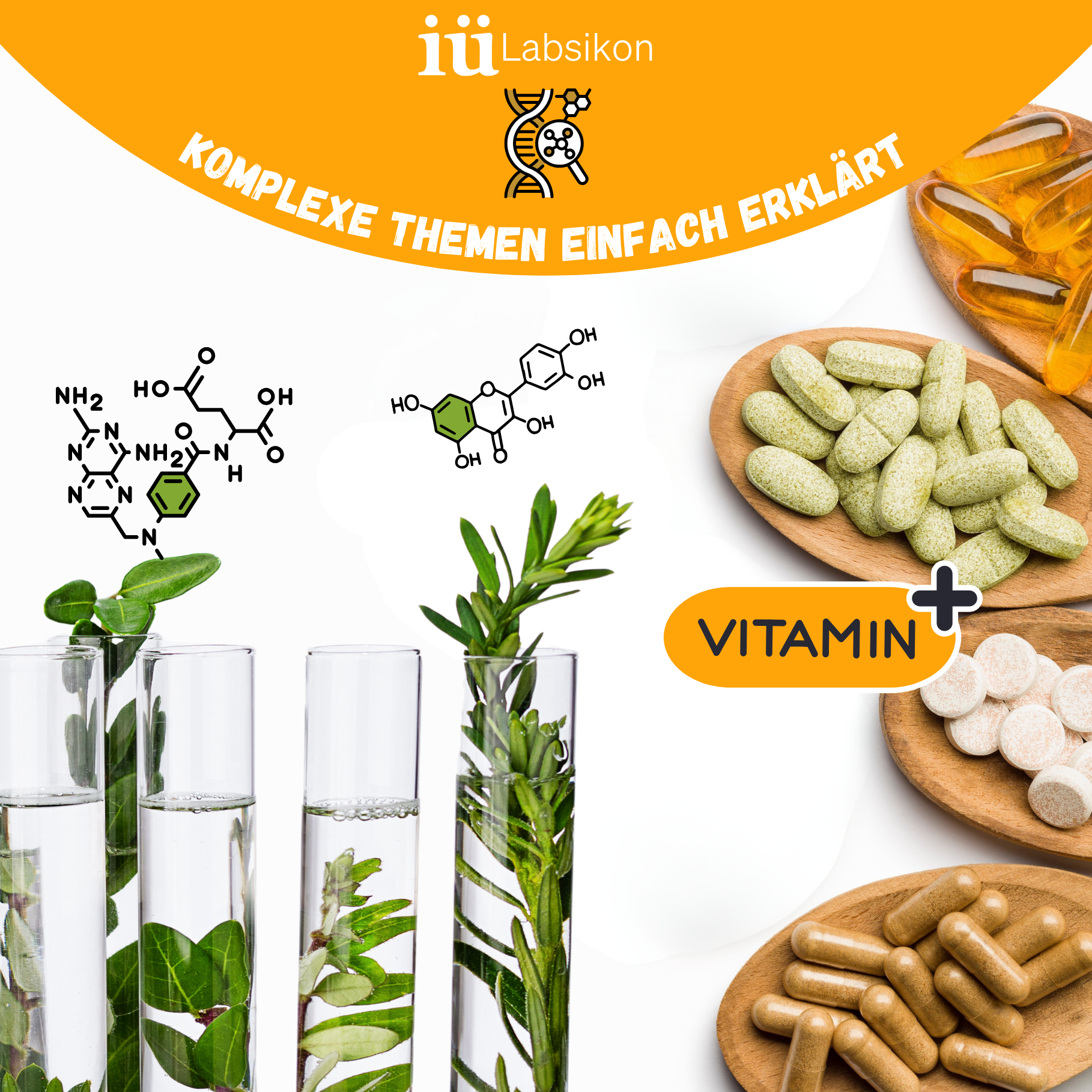 Sekundäre Pflanzenstoffe vs. Vitamine – Wo liegt der Unterschied?