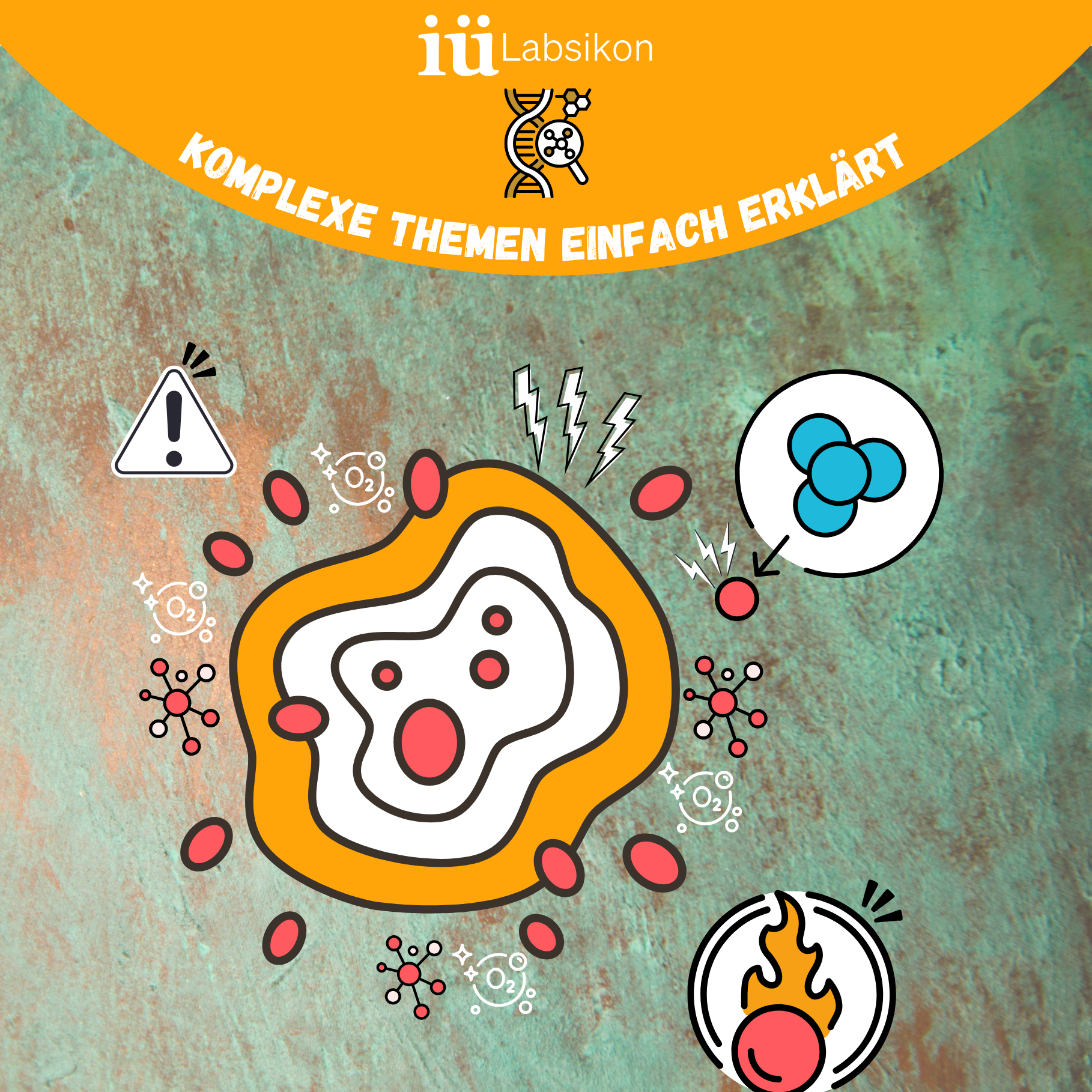 Wie oxidativer Stress entsteht – und wie du deine Zellen schützt