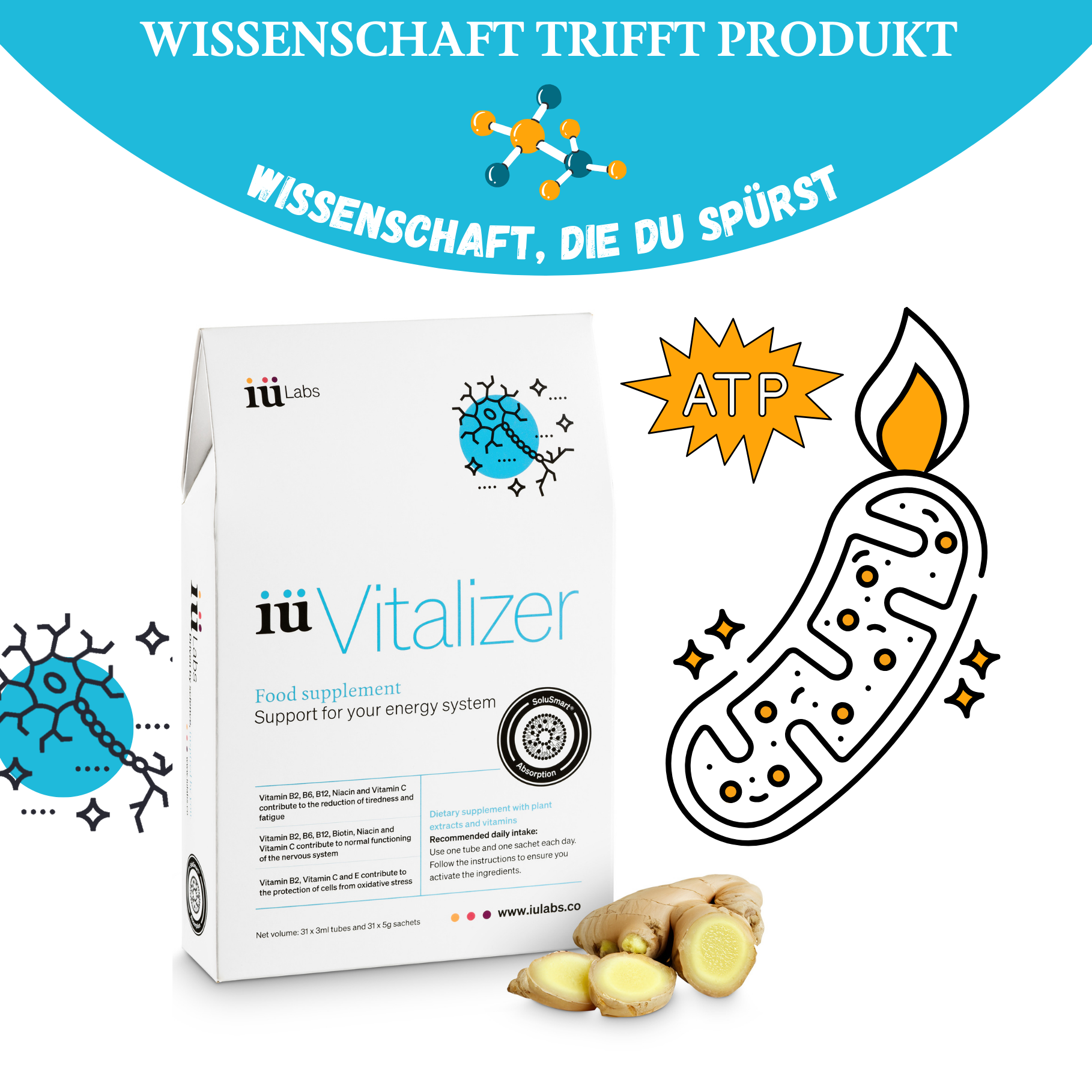 iüVitalizer - Die Wissenschaft hinter den Inhaltsstoffen