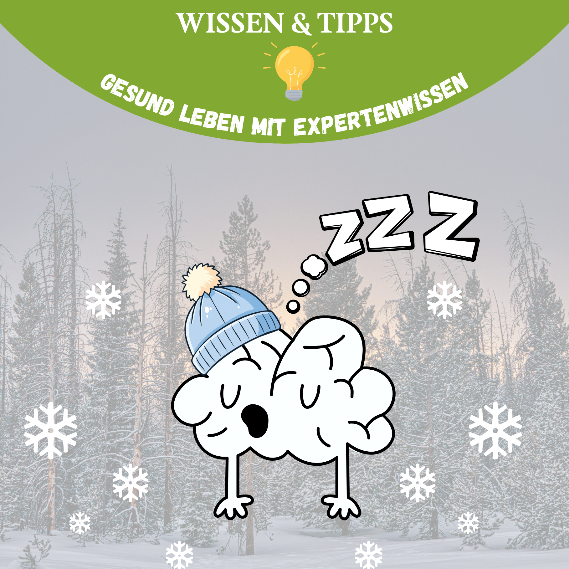 Warum der Winter müde macht – und was deine Zellen wirklich brauchen