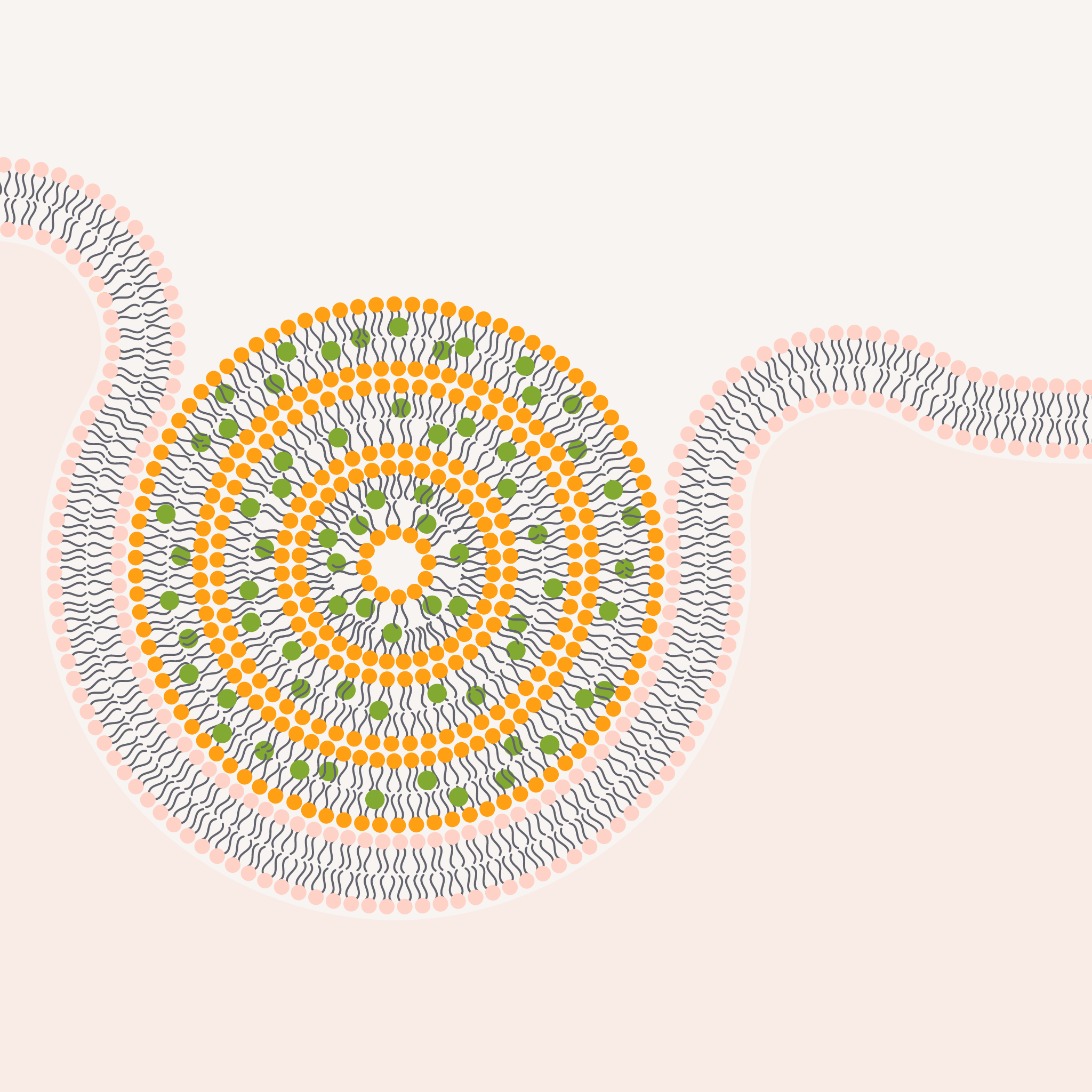 Optimierte Aufnahme im Magen-Darm-Trakt