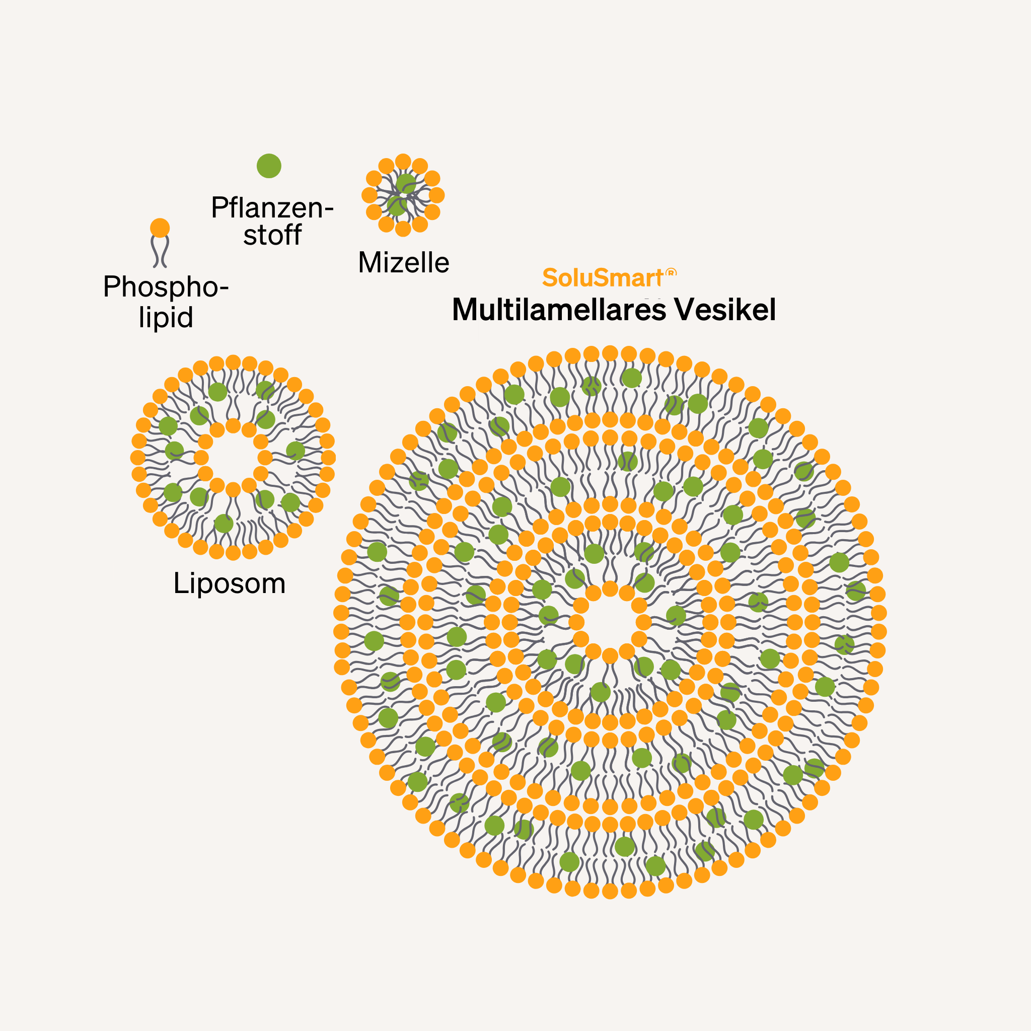 Die nächste Generation der Nahrungsergänzung
